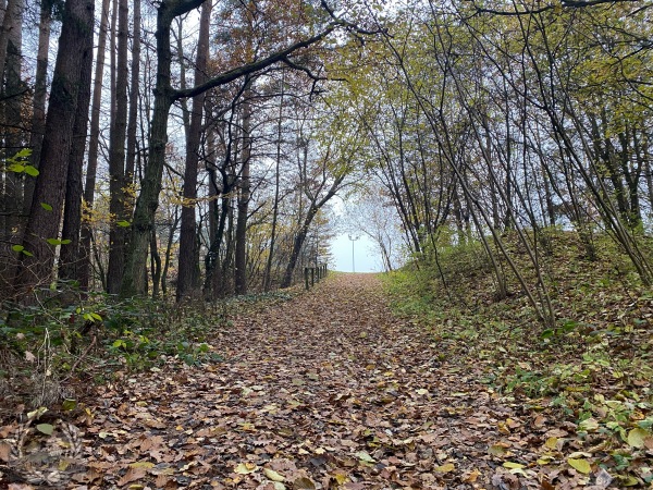 Sportanlage am Hüllweiher Platz 2 - Lauf/Pegnitz-Simonshofen