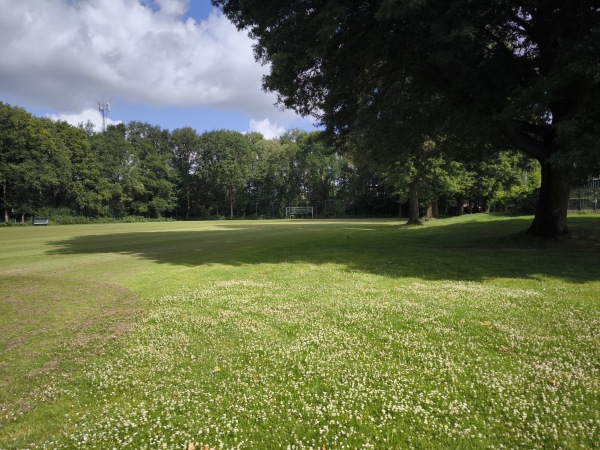 Sportpark De Wijchert veld 6 - Wijchen
