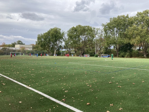 Städtischer Kunstrasenplatz am Stadion - Mannheim