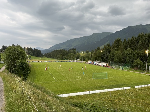 Walser Arena - Mittelberg-Hirschegg