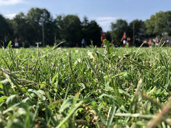 Sportpark De Padevoort veld 2 - Zeddam
