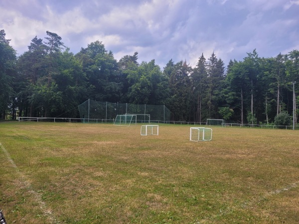 Sportplatz Böhlen - Großbreitenbach-Böhlen