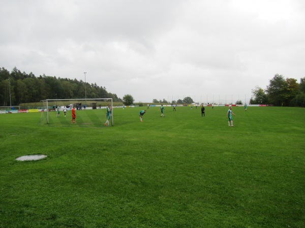 Waldstadion - Regen-March