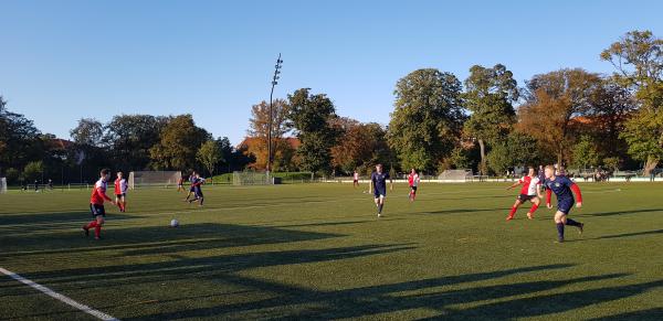 Fælledparken - København