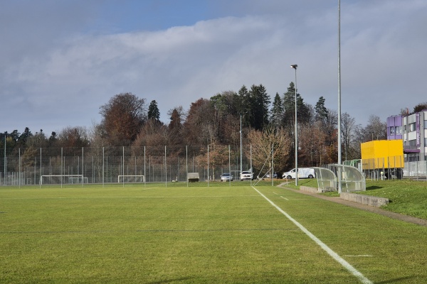 Sportanlage Barzloo Platz C - Pfäffikon ZH
