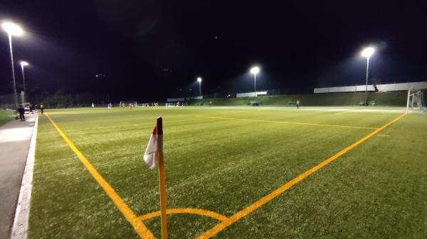 Alpenstadion Nebenplatz - Schönau/Königssee