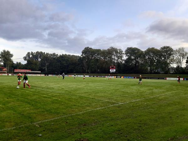 Sportpark De Kalkwijck veld 5-Hoogezand - Midden-Groningen-Hoogezand