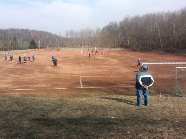 Sportanlage Am Biel Platz 2 - Zwickau-Niederplanitz