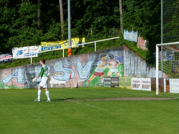 Alois-Schwarz-Waldstadion - Neuzeug