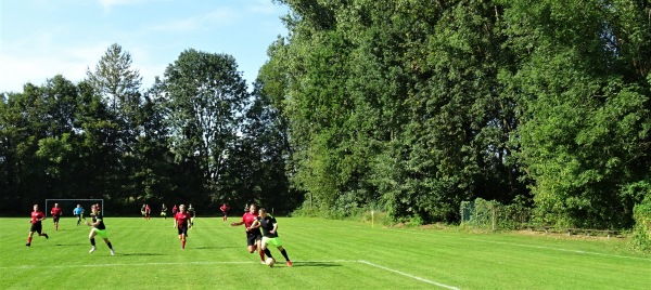 Sportplatz Schlossstraße - Traun