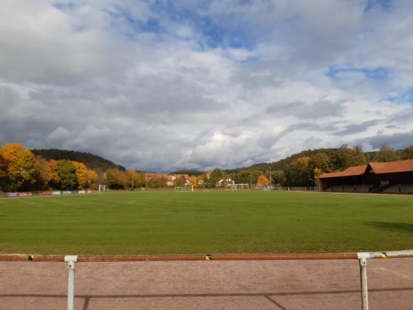 Sportanlage Georg-Schäfer-Straße - Ebelsbach-Gleisenau