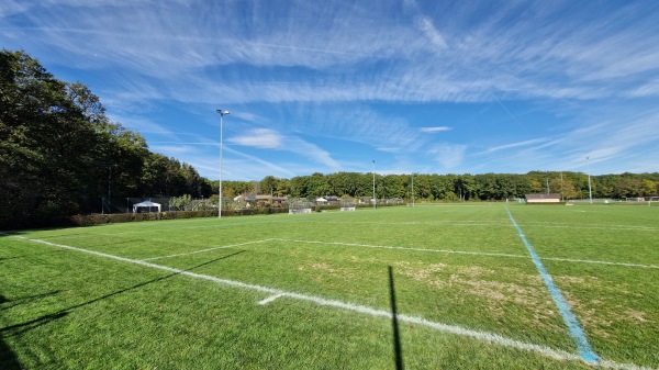 Centre Sportif de la Bécassière terrain C - Versoix