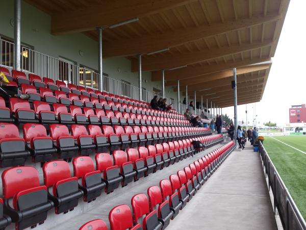 FKB-Stadion Birchhölzli - Düdingen