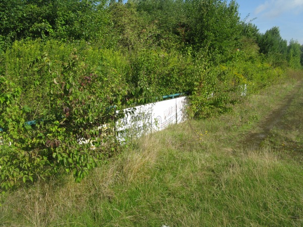 Sportanlage Eisenhüttenstraße - Salzgitter-Thiede-Steterburg
