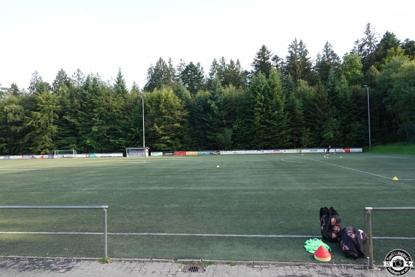Sportanlage Tannwiese Platz 2 - Welzheim
