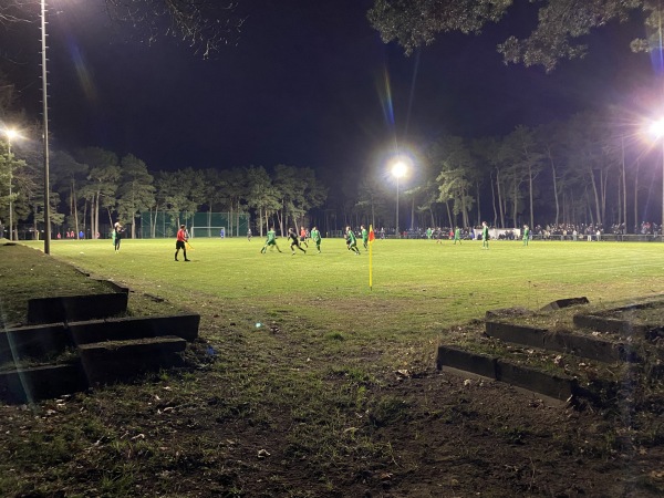 Sportanlage Waldstraße - Waldplatz - Eisenhüttenstadt