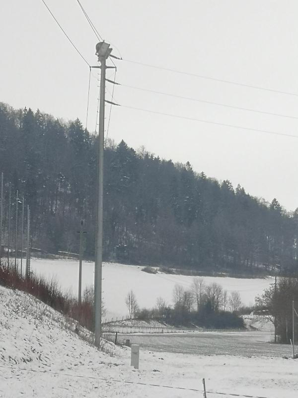 Sportplatz Schlauch - Tengen-Wiechs/Randen