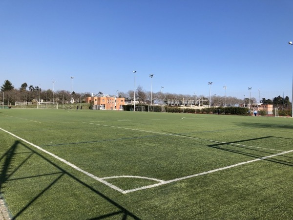 Centre Sportif de Colovray terrain 5 - Nyon