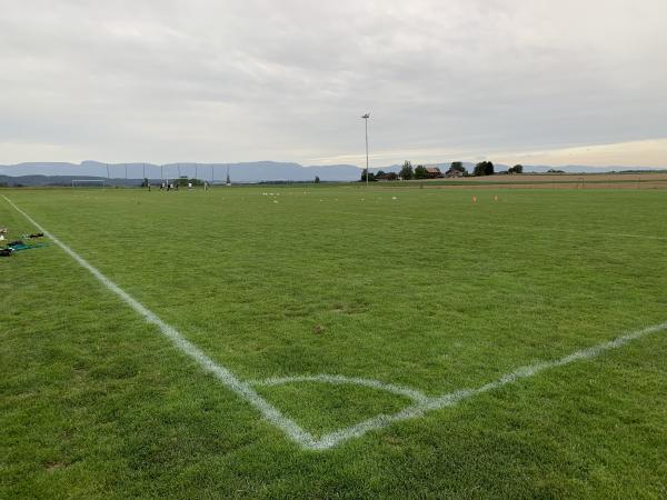 Sportplatz Riedweg Nord - Grafenried