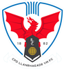 Wappen Llanrhaeadr FC