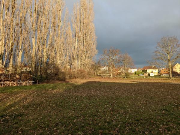 Sportplatz Laumersheim - Laumersheim