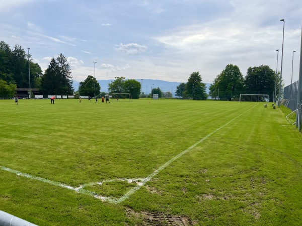 Sportplatz Widenbad Platz 2 - Männedorf