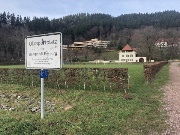 Ökosportplatz der Universität Freiburg - Freiburg/Breisgau