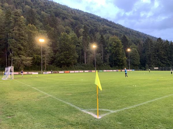 Terrain Sous-le-Mont - Dombresson