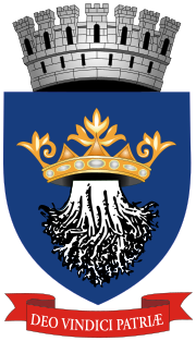 Wappen Brașov