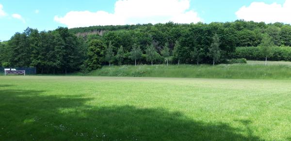 Sportplatz Henkenbrinker Straße - Lügde-Falkenhagen