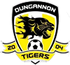 Wappen Dungannon Tigers