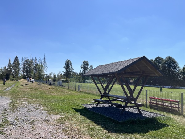 Tierbergsportplatz - Lauscha