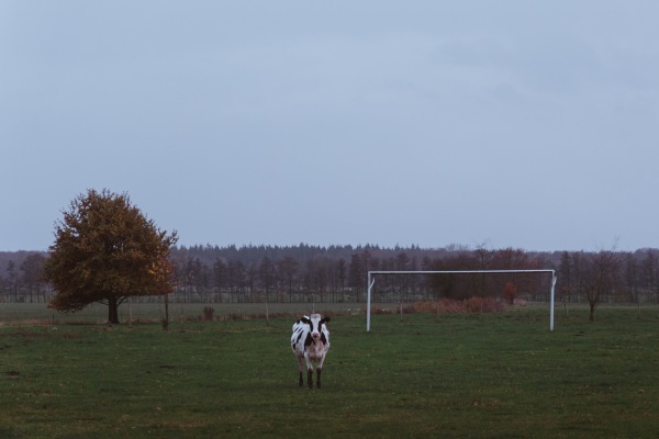 Sportplatz Kirschblütenstraße - Karstädt/Prignitz-Laaslich