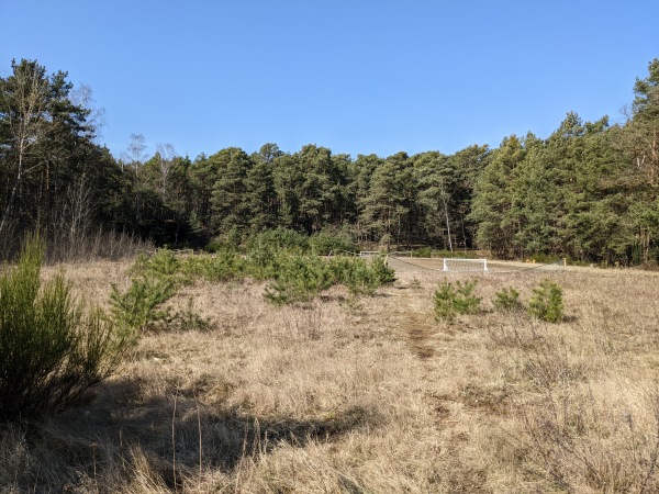 Waldsportplatz - Bad Dürkheim-Grethen