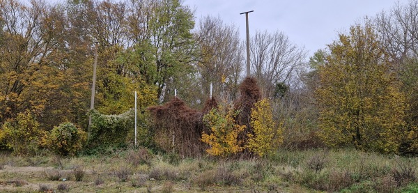 Nachwuchszentrum Sandanger Platz 4 - Halle/Saale