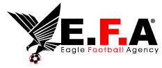 Wappen Eagle FA