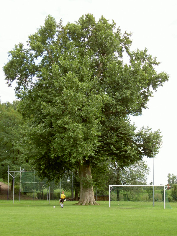 Sportkomplex Raßnitz - Schkopau-Raßnitz