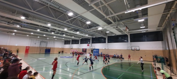 Mehrzweckhalle Gymnasium Oberstadt - Mainz
