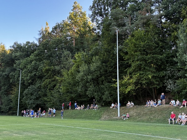 Andreas Faust Sportgelände Platz 2 - Walsdorf/Oberfranken