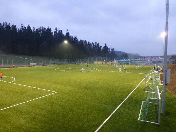 floorex-Arena Nebenplatz - Rohrbach-Berg