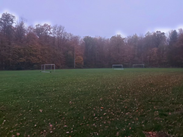 Sportplatz Bexter Wald - Bad Salzuflen-Wülfer-Bexten
