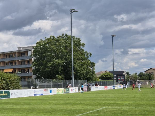 Stade de Marcy - Saint-Prex