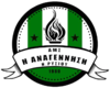 Wappen AME Anagennisi Rysio FC  138124