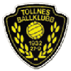 Wappen Tollnes BK  3535