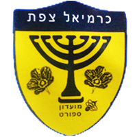 Wappen Hapoel Karmiel  38525