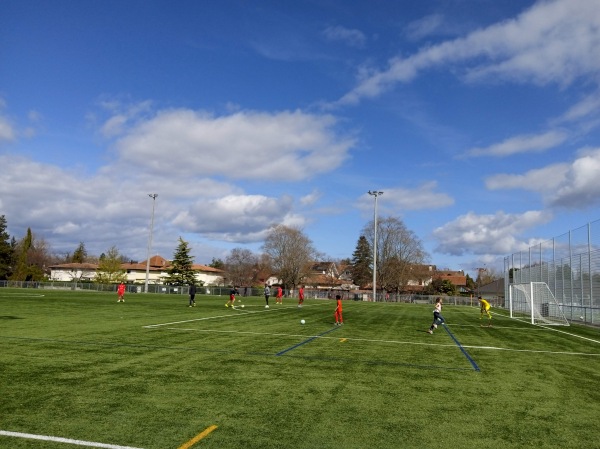 Stade des Fraisiers terrain B - Grand-Lancy