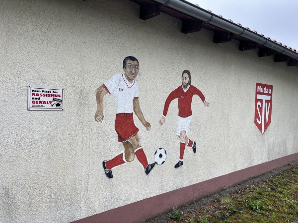Odenwaldstadion Nebenplatz - Mudau