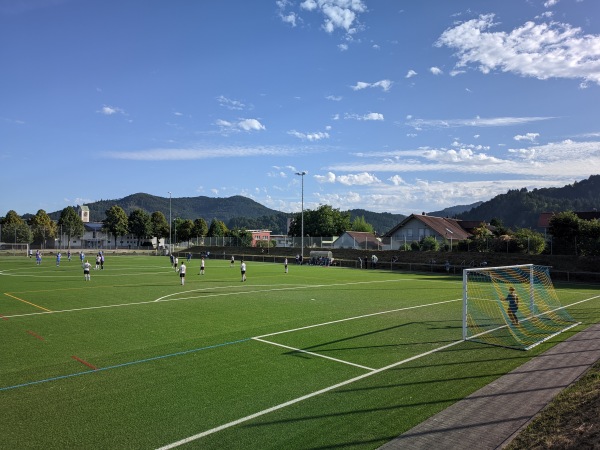 Bahndammstadion Nebenplatz - Biberach/Baden