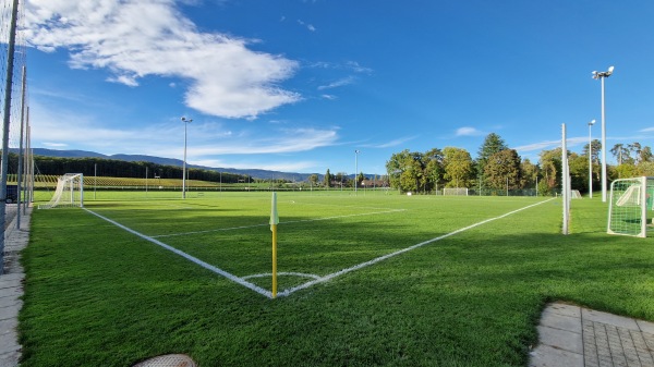 Centre Sportif de Colovray terrain 4 - Nyon