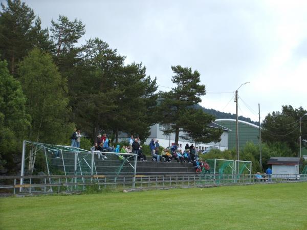 Blindheim naturgress - Ålesund
